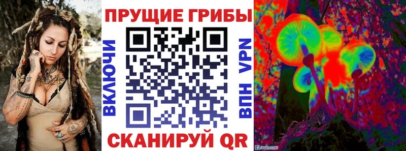 Псилоцибиновые грибы мицелий  хочу   Славск 
